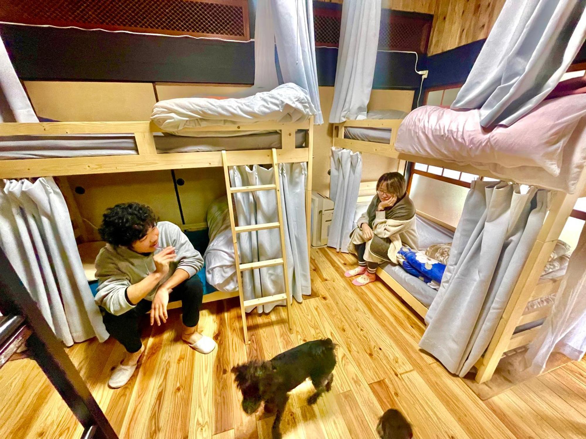 角島ゲストハウスsumikkoオーシャンビューの犬がいるゲストハウスで特別な交流体験個室とドミトリー Takibe エクステリア 写真